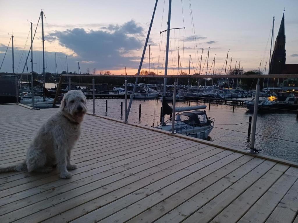 Hausboot Gluecksmomente Mit Dachterrasse In Schleswig Am Ostseefjord Schlei Екстер'єр фото